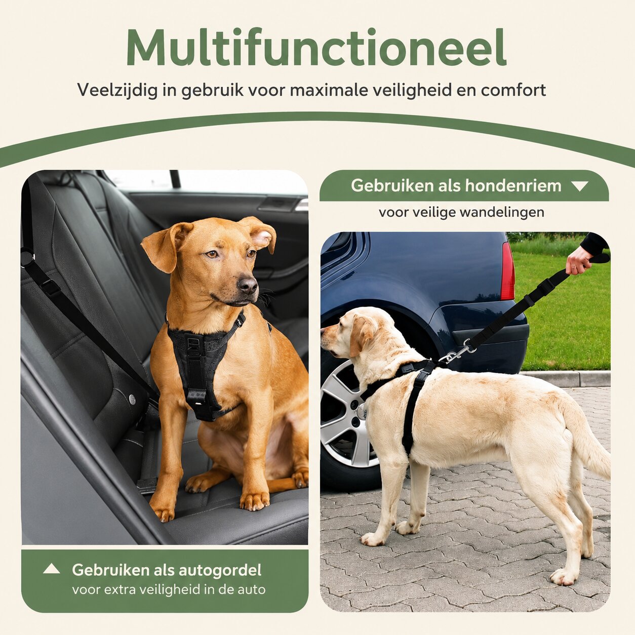 Viervoetje™ Bijpassende Riem