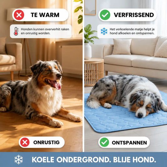 Viervoetje™ Koelmat 1+1