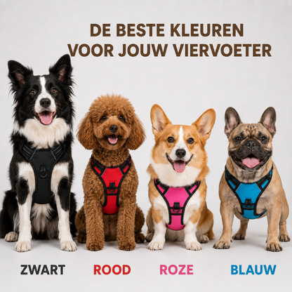 Viervoetje™ Anti-Trek Hondentuig